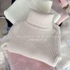 [En Stock] Suéter Infantil 2025 Invierno Nuevo Estilo Todo en Uno Terciopelo Cuello Alto Camiseta Base para Niños y Niñas Heattech