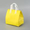 Sacos para Embalagem de Levar, Sacolas Térmicas Descartáveis para Entrega de Catering, Sacolas Tote de Tecido Não Tecido para Bar de Chá de Leite Churrasco, Sacos para Almoço para Levar