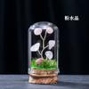 Cascalho de Cristal Natural Árvore Micro Paisagem Mina Padrão Ornamentos Cristal Branco Ametista Cascalho Decoração de Natal Faça Você Mesmo Ornamentos