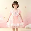 Vestido de Princesa para Meninas, Moda de Verão Infantil Elegante e Fofo, Vestido Tutu de Manga Longa da Elsa, Vestido da Elsa para Menininha