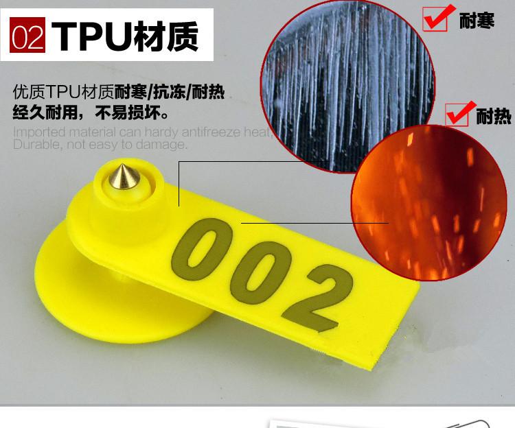 TB2XmKGXg1I.eBjSszeXXc2hpXa_!!