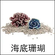 海底珊瑚