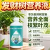 Árbol del Dinero Fertilizante Fertilizante Especial Plantas Verdes Plantas de Interior en Maceta Hidroponía Hojas Amarillas Marchitas Solución Nutritiva Universal Fertilizante Soluble en Agua