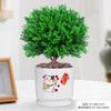 Evergreen Interior Balcón Patio Escarcha Plantas En Maceta Son Fáciles de Mantener y Viven en Escritorio Bonsái Verde Plantas Verdes Pinos