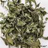 Medicina Herbal China Hojas de Azufaifo, Brotes de Azufaifo, Té de Brotes de Azufaifo, Hojas de Azufaifo Silvestre Auténticas Naturalmente Puras de las Montañas 500g