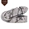 Cinturón Guangzhou Patrón Serpiente Cinturón Moda Retro Cinturón de Alta Gama Moda Versátil Decorativo Cinturón para Jeans