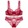 Comércio Exterior Personalizado Venda Quente Lingerie Sexy Renda Transparente Ultra Fina Vazada Conjunto de Sutiã Plus Size para Seios Grandes