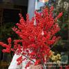 Ramas de Acebo Norteamericano Importado de Alta Calidad Recién Cortadas Planta Hidropónica Ramo de Flores Frutos Rojos Cultivado en Agua Interior Floresales de Año Nuevo Floresales Reales