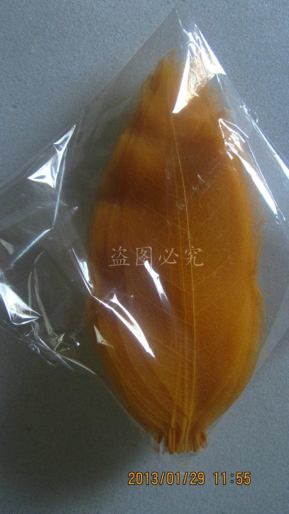 A027橡胶叶脉(35)