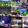 Acuario paisajismo casa de escondite nido de cría de peces casa de camarones nido de camarones agujero de desove cíclido de tres lagos vasija de cerámica tanque especial para cría de peces