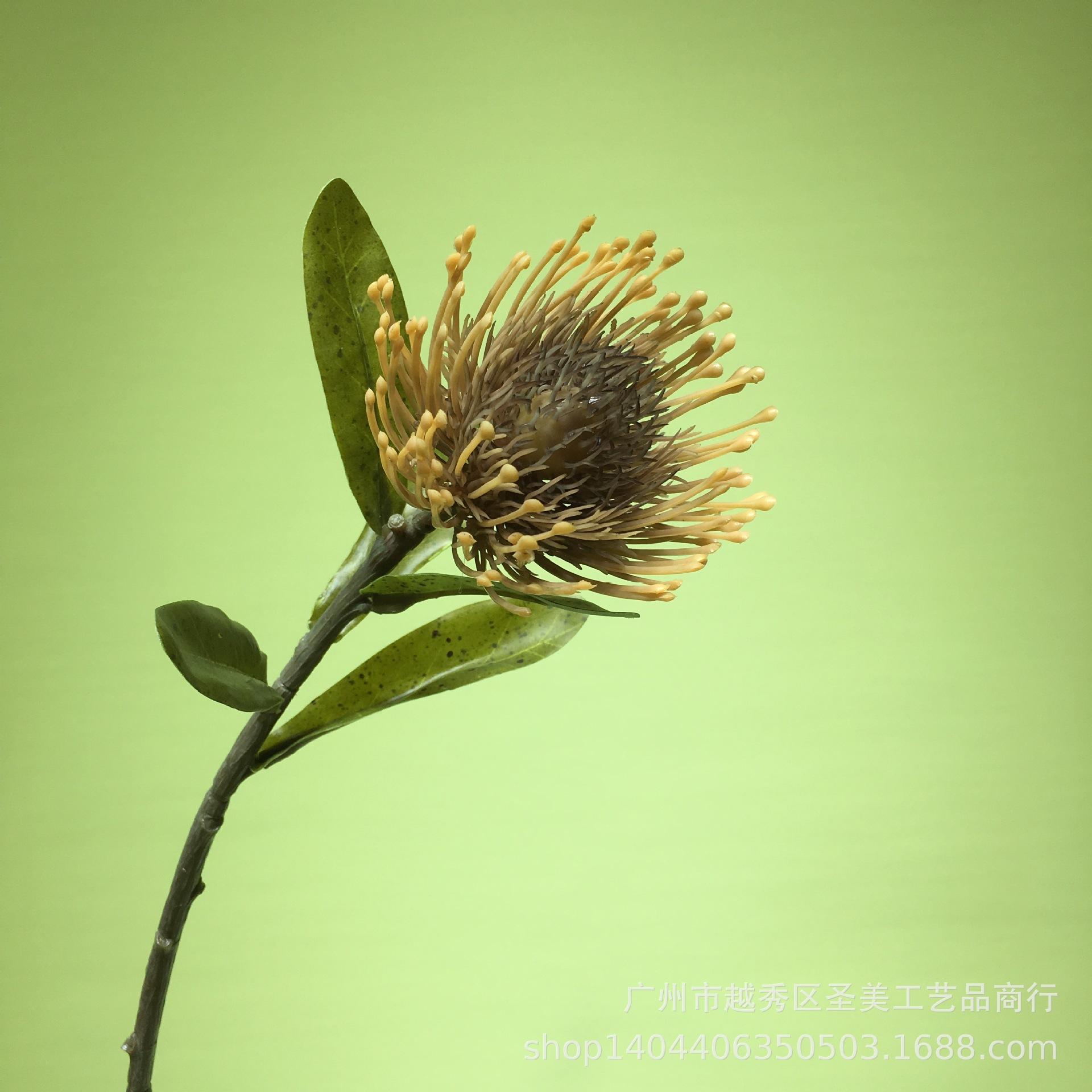 96E06251A26E286D8ECB7F493D908A