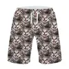 Shorts de Praia de Gato Animal Fofo Impressos em 3D para Homens Board Shorts Havaiano Shorts Infantis com Estampa de Gato Pet