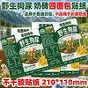 Perros salvajes del oeste de Guangdong, perros salvajes, pan permanente, ladrillos de leche, leche, divertidos stickers interactivos temáticos de animales para el regreso a clases, autoadhesivos