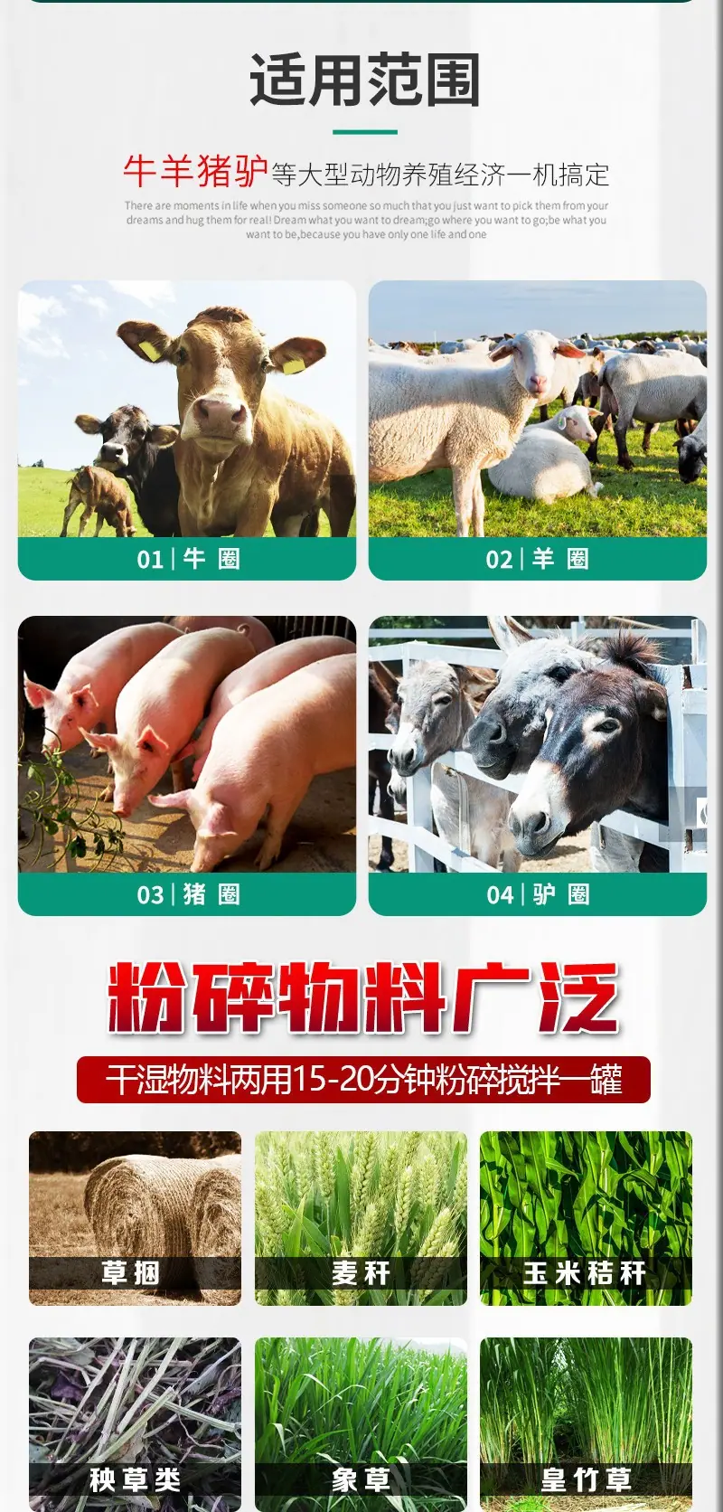 双轴tmr搅拌机3.jpg
