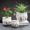 Maceta de Cerámica Tamaño Grande Oferta Especial Liquidación Interior Escritorio Balcón Suculenta Maceta Pequeña Clorofito Helecho Espárrago Maceta Simple Blanca