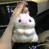 Lindo llavero de hámster, muñeco de puesto, venta al por mayor, bolso colgante, bolso colgante, llavero de peluche, regalo