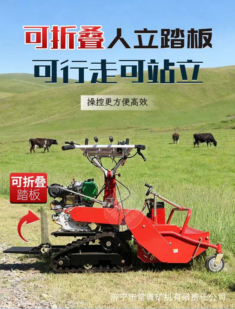 详情_02.jpg