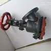 Válvula de Descarga Esmaltada para Caldera Válvula Manual Válvula de Apertura Superior Válvula de Apertura Inferior Tipo Y Resistente a la Corrosión Antiexplosión Tipo Antiexplosión Sello
