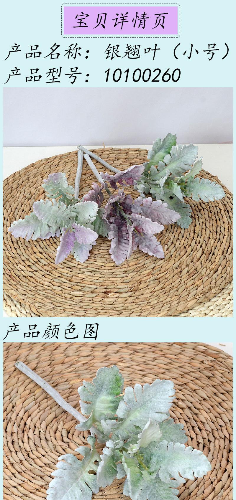 银翘叶（小号）_01.jpg