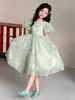 Vestido de Princesa Floral Super Fada para Meninas Verão 2026 Novo Estilo Vestido de Verão Infantil Vestido Elegante com Manga Bufante para Crianças Mais Velhas