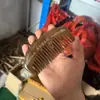Peine de Sándalo Dorado para Uso en Casa, Peine Tallado de Mango Largo, Peine de Dientes Finos para Cabello Largo, Regalo Unisex, Peine de Sándalo al por Mayor