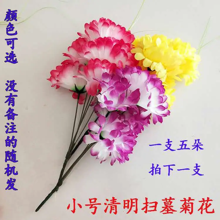 微信图片_201905080729116