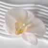 Pétalas da cabeça da flor Phalaenopsis acessórios de flor material de flor grampo de cabelo feito à mão diy decoração de adereço de cabeça material de flor