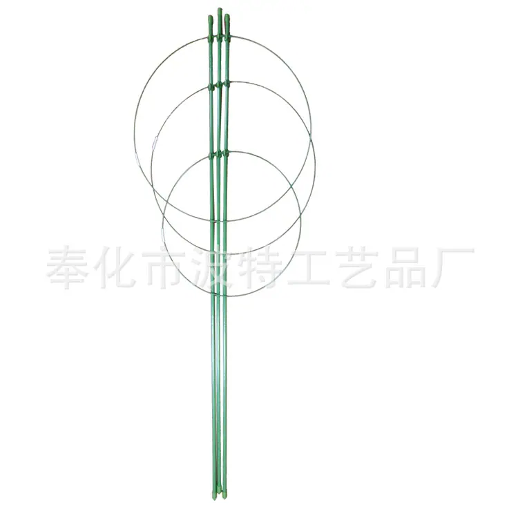 DSCN3359
