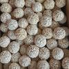 En stock al por mayor 8CM Bola de Tongcao juguete hecho a mano para morder loros artículo diario Bola de Tongcao