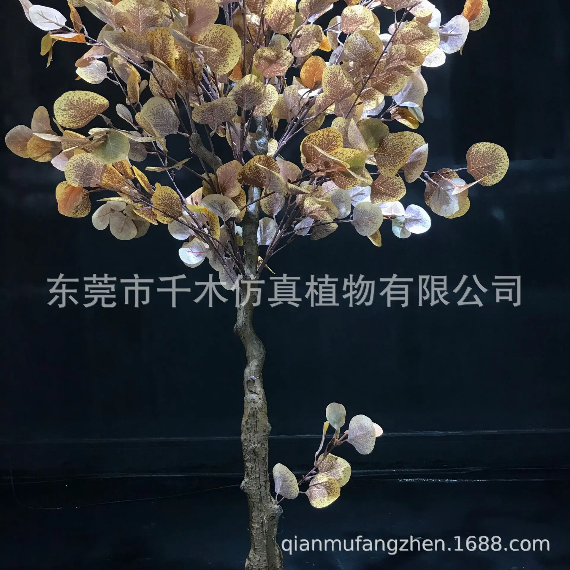 微信图片_2021121114341822