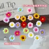 Nuevos Accesorios para Uñas con Diseño de Margarita de Doble Capa DIY Resina Rhinestones para Uñas Flor de Colores Grande y Pequeña Accesorios de Decoración para Pasador de Cabello
