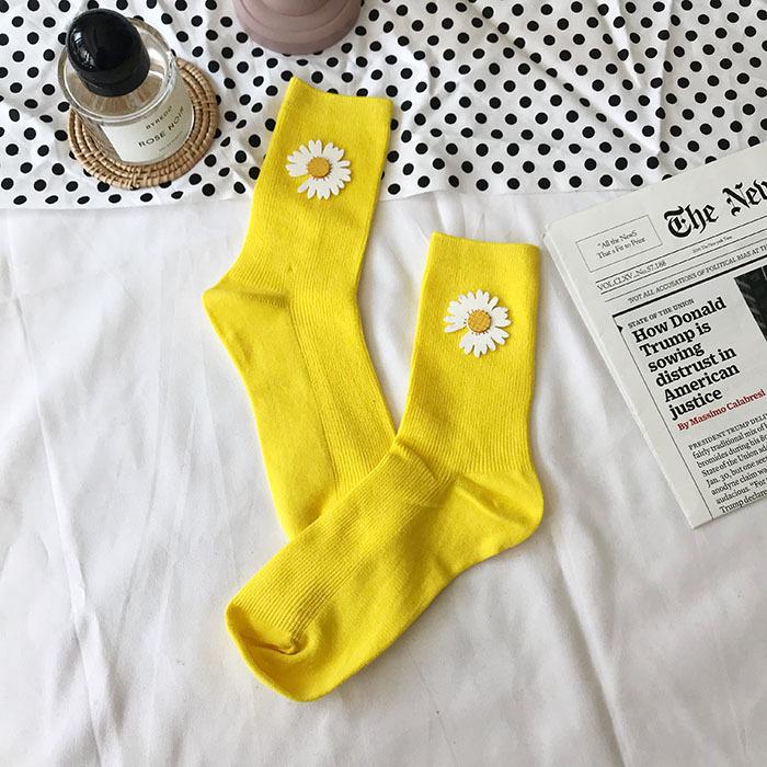 IMG_5391(20191229-232105)