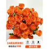 Flores Que Florescem por Muito Tempo e São Fáceis de Cultivar, Lírios, Sino dos Ventos, Flores de Corte Frescas, Plantas Hidropônicas de Cabelo Reto de Yunnan, Rosas, Arranjos de Flores de Interior