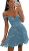 Vestido de Festa Aliexpress Amazon Estilo Europeu e Americano Alça de Renda Cintura Curta Afinando Temporada de Formatura Vestido de Baile