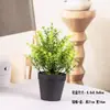 Plantas Verdes Simples Suculentas de Plástico em Vaso Ornamento para Sala de Estar Mesa de Jantar Flores Artificiais Decorações Ornamento Flores Biomórficas