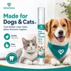 Kineshinex Pluma de Limpieza Dental para Mascotas Gato y Perro Cuidado Bucal Pluma de Limpieza de Dientes Refresca el Mal Aliento y Limpia el Sarro