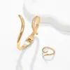 Pulsera Anillo Abierto de Metal Geométrico Irregular con Forma de Serpiente, Moda Sencilla de Personalidad, Nuevo, Transfronterizo Europeo y Americano para Mujer