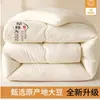 Colcha de fibra de soja, núcleo de colcha quente, colcha de inverno individual para dormitório, colcha de primavera e outono, colcha de algodão, uso em todas as estações, colcha fresca de ar condicionado para o verão