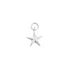 Plata Pura 999 Estrella de Cinco Puntas Estrella de Mar Colgante Pequeño Joyería de Plata Pura Accesorios Cuerda Trenzada DIY Pulsera de Cristal Materiales para Colgantes