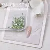 K9 Nuevo Súper Brillante Imitación Fondo Plano Verde Claro Pedrería para Uñas Mini Pedrería Pedrería Verde de Forma Irregular Pegatinas para Uñas Decoraciones