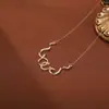 Colar de Moda Transfronteiriço Europeu e Americano Retrô Colar Distintivo Feminino Cobra Distintivo Corrente para Clavícula Feminina Joias