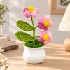 Ornamento de Mesa Acabado em Crochê Vaso Florido Fofo Decoração de Planta Presente Planta em Vaso Vaso de Flores Tricotado à Mão Flor Pequena