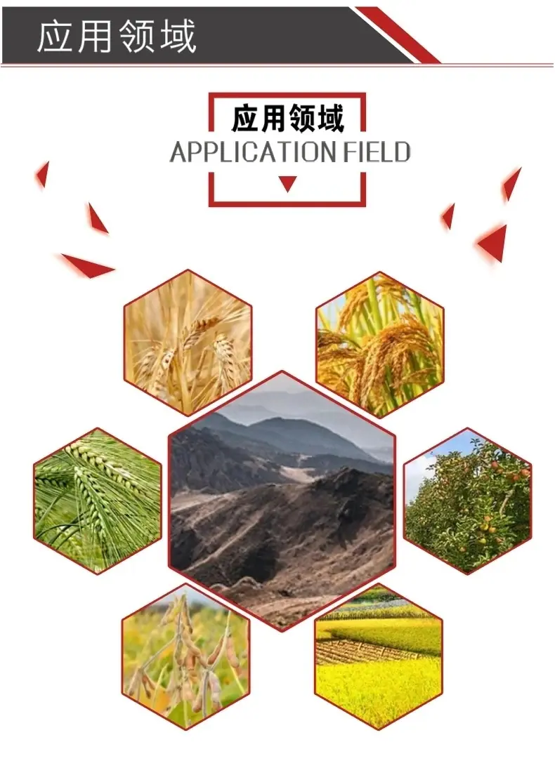 详情9 20240701