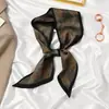 Lenço Pequeno de Seda Coreano, Fina Faixa de Cabelo, Prendedor de Cabelo Feminino, Versátil para Celebridade da Internet e Streamer, Tira Longa, Lenço para Terno, Lenço Fita