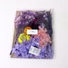 Kit de Material para Embossing A5 Flores Secas Flores Conservadas Porta-Retrato Flores Frescas Flores Prensadas Velas Perfumadas DIY