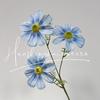 3 Cabeças de Flores Artificiais de Gérbera para Decoração de Casamento, Flores Artificiais para Arranjo de Cena de Casamento, Flores para Decoração de Casa e Hotel