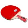 Raquete de Tênis de Mesa Galaxy 01B 02B 03B 04D 06B Borracha Dupla Acabada Raquete de Treino Raquete Reta/Horizontal Raquete Única