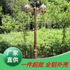 Farola de Estilo Europeo Lámpara de Jardín Lámpara Impermeable para Exterior Paisaje Jardín Público Villa Comunidad Doble Cabeza Lámpara de Poste Alto de 3 m