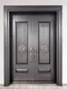 380 Puerta Doble Oscilante de Acero Inoxidable Antirrobo Puerta Principal de Villa Puerta de Entrada con Pintura Horneada Casa de Campo Autoconstruida Puerta de Entrada para Uso Doméstico
