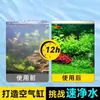 Bacterias Nitrificantes para Acuarios, Específicamente para la Digestión de Peces, Esterilización y Purificación del Agua; Estabilizador y Purificador de Agua No Medicado